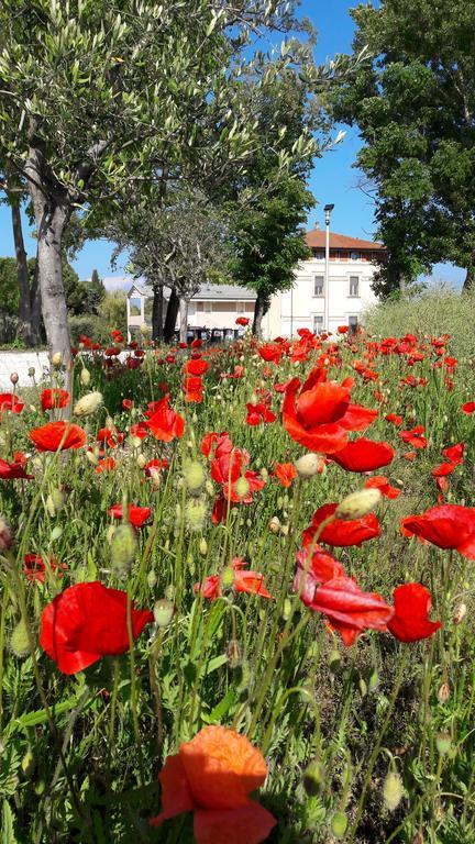 Villaggio Esmera Ντεζεντσάνο ντελ Γκάρντα Εξωτερικό φωτογραφία